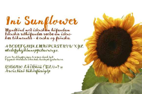 Ini Sunflower Font Review