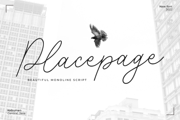 Placepage: A Script Font for Elegant Design