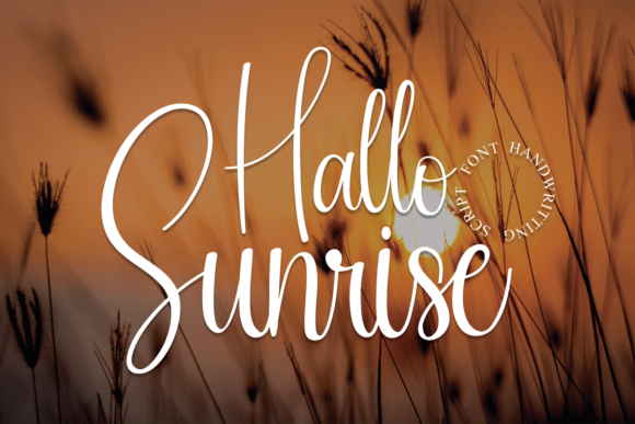 Script Font for Elegant Design
