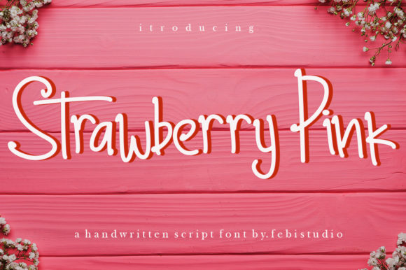 Strawberry Pink Font for Web Design